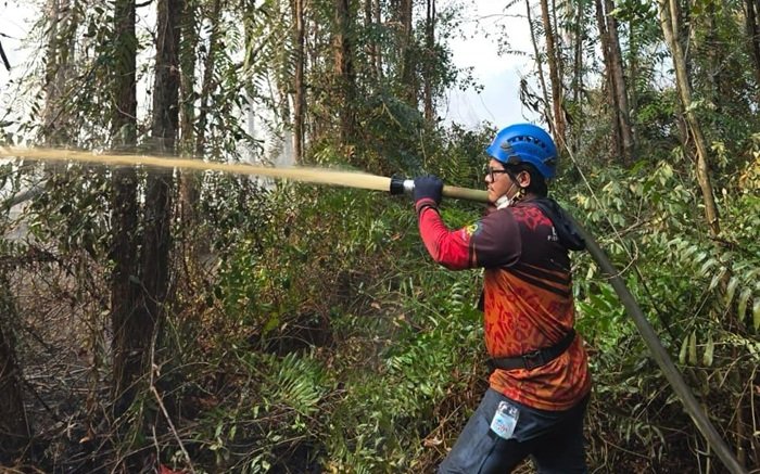 Aksi Cepat Tim PLN Padamkan Karhutla Demi Lindungi Lingkungan dan Infrastruktur Ketenagalistrikan