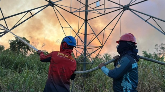 Aksi Nyata PLN ULTG Batulicin Jaga Aset Transmisi dari Karhutla, Wujud Kepedulian di Hapelnas