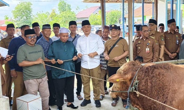 Atas Nama Pribadi, Bupati Alex Serahkan 9 Hewan Kurban