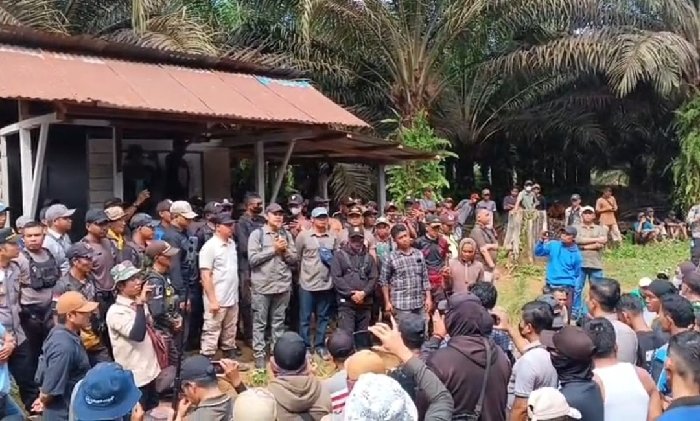 BGA Jelaskan Status Plasma, TKD dan Bantah Tuduhan Penggarapan Lahan di Luar HGU