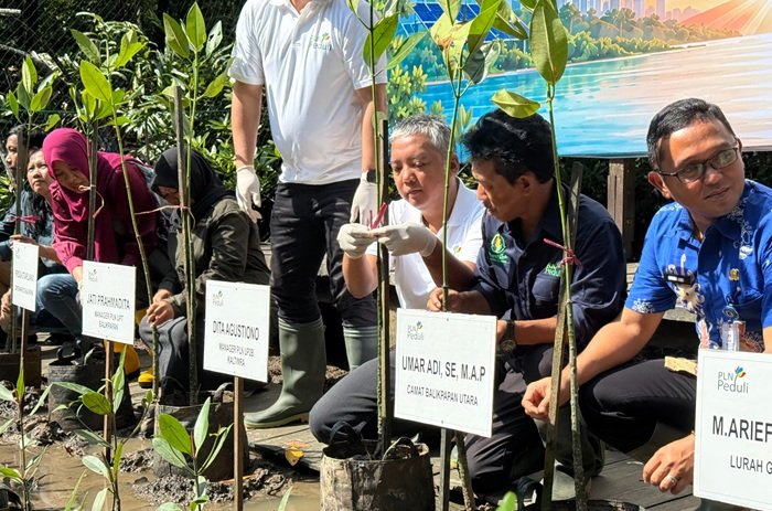 Jelang HUT ke-81 RI, PLN Kembangkan Wisata Mangrove Berbasis Energi Bersih di Balikpapan