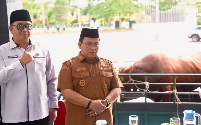 Juleha Kubu Raya Eksekusi Sapi Kurban Presiden