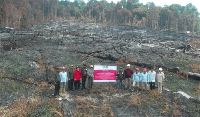 Kementerian Kehutanan Bekukan Perizinan Berusaha PT MPK