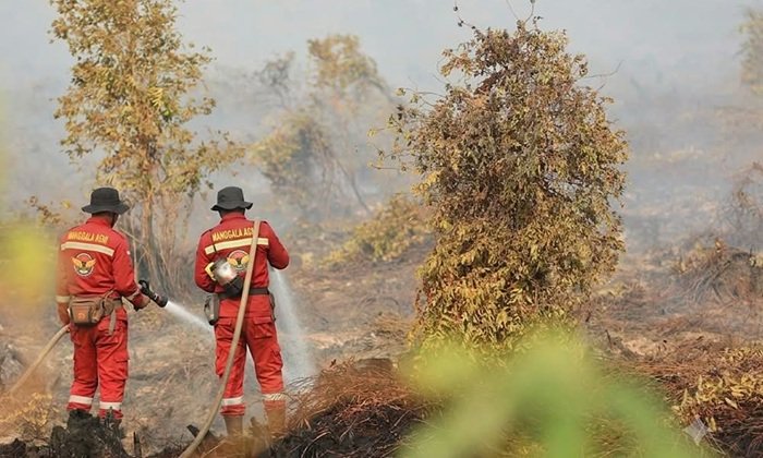 Lima Kecamatan di Ketapang Jadi Perhatian Khusus Pencegahan Karhutla