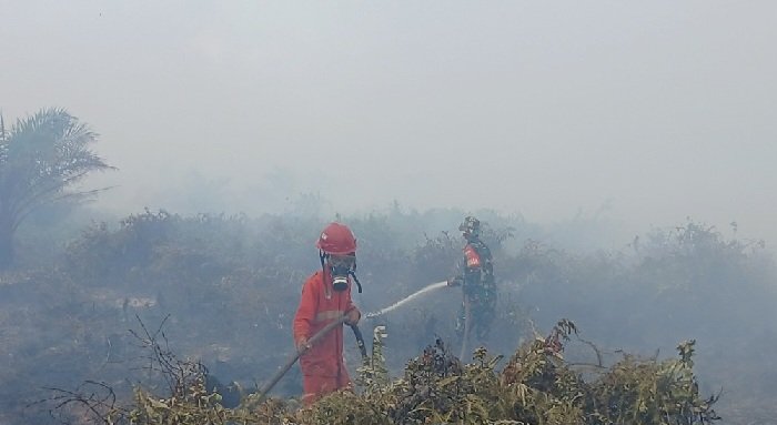 Lima Kecamatan di Ketapang Jadi Perhatian Khusus Pencegahan Karhutla
