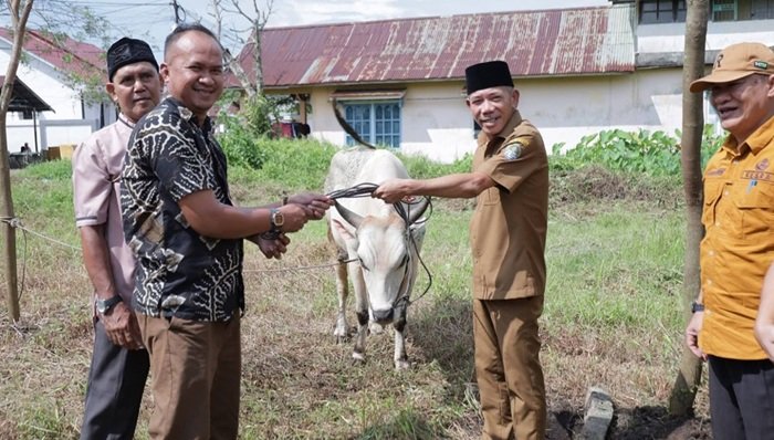 Pemkab Ketapang Serahkan Hewan Kurban ke Sejumlah Rumah Ibadah