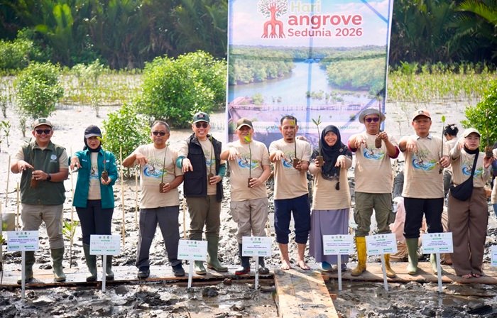 Pemkab Kubu Raya Larang Penebangan Mangrove, Genjot Revitalisasi dan Edukasi Sekolah