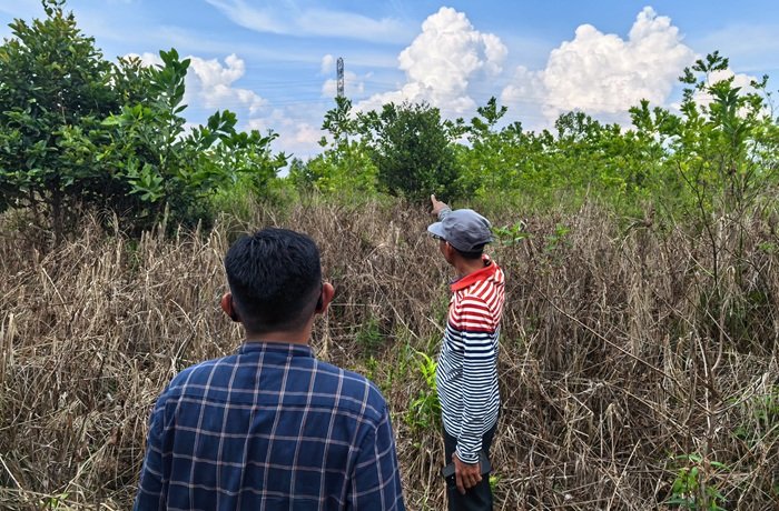 Sambut HUT ke-81 RI, PLN Gandeng MPA Kameloh Baru Hadirkan Kampanye Manisnya Madu, Andalnya Listrik