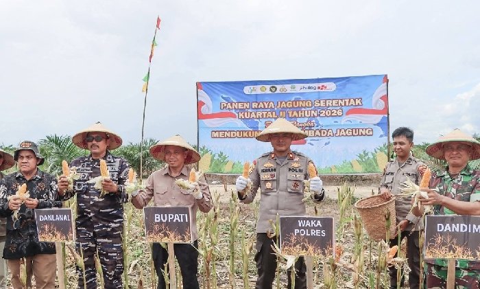 Sekda Ketapang Ikuti Panen Raya Jagung Nasional, Dukung Swasembada Pangan