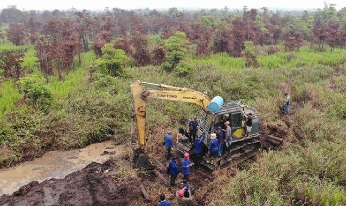 Tim Gabungan Kemenhut Tangkap Dua Pelaku Perambahan Hutan di Ketapang