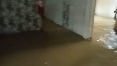 Hujan Semalaman, Belasan Rumah di Dusun Gonis Tekam Tergenang Air