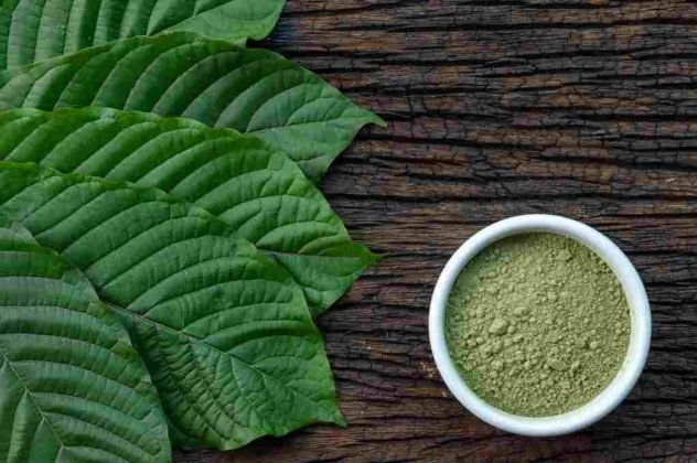 Bermanfaat! Thailand Pastikan Kratom Legal Digunakan Sebagai Obat Herbal