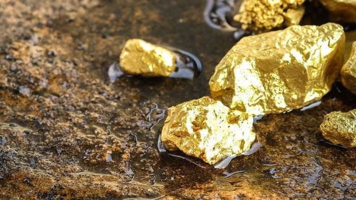 Freeport Nyatakan Tak Punya Tanggung Jawab Membagi Saham ke Daerah