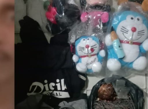 Curi Boneka Doraemon, Pemuda Pontianak ini Terancam 5 Tahun Penjara