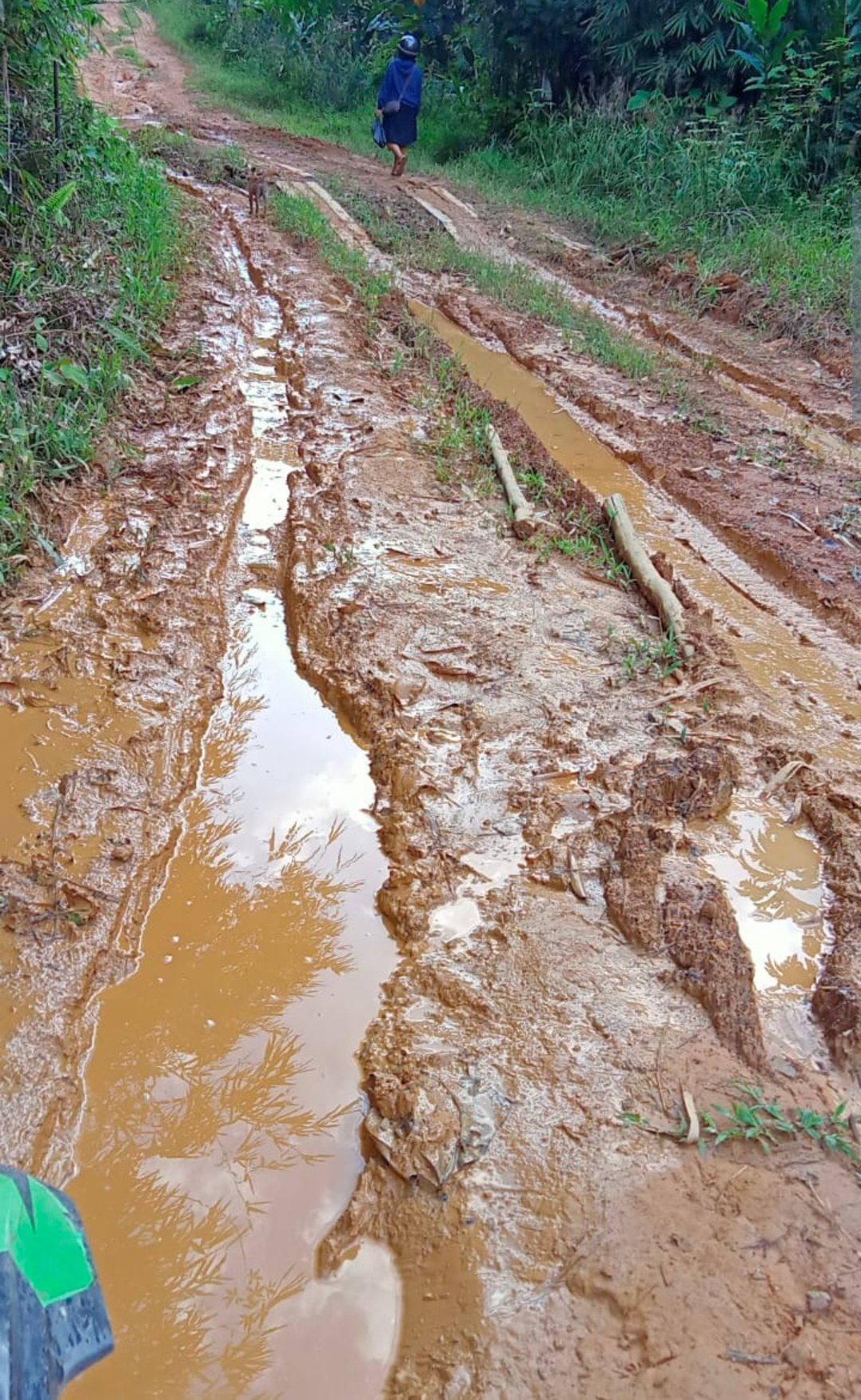 Bertahun-tahun Jalan Landau Kumpang - Riam Tapang Tanpa Sentuhan Pemerintah Daerah