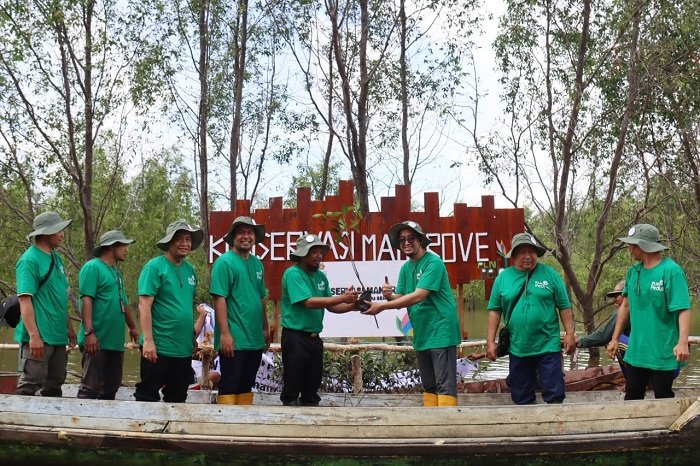Hijaukan Pantai Seribu Cemara di Kabupaten Seruyan, PLN Tanam 11.000 Bibit Mangrove