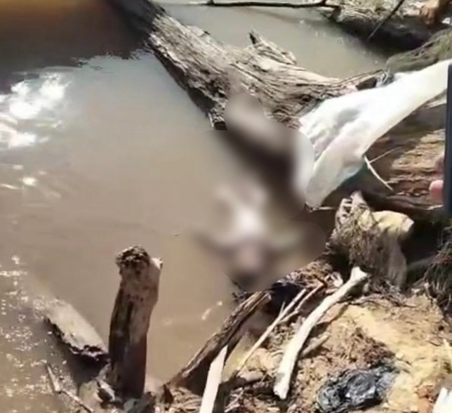 Heboh Penemuan Mayat Bayi Mengapung di Sungai