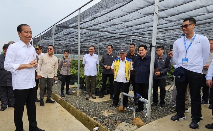 Dirut PLN Siap Penuhi Kebutuhan Listrik Energi Bersih di IKN