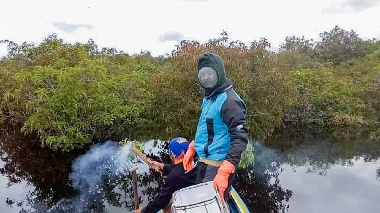 Dosen UNU Kalbar Ajarkan Panen Lestari Madu Hutan Apis Dorsata di Kapuas Hulu