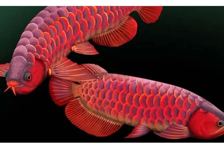 Jaksa Ajukan Banding Vonis Ringan Terdakwa Kasus Korupsi Arwana 