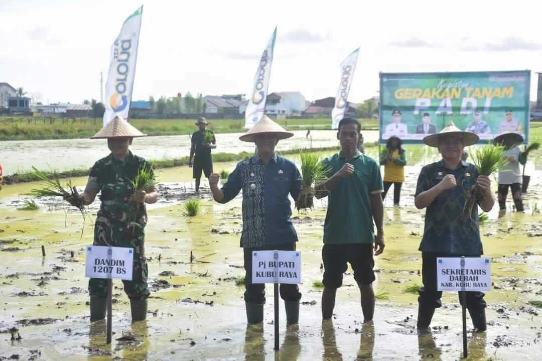 Percepat Gerakan Tanam Padi, Upaya Pemkab Kubu Raya Lakukan Tanggap Darurat Pangan