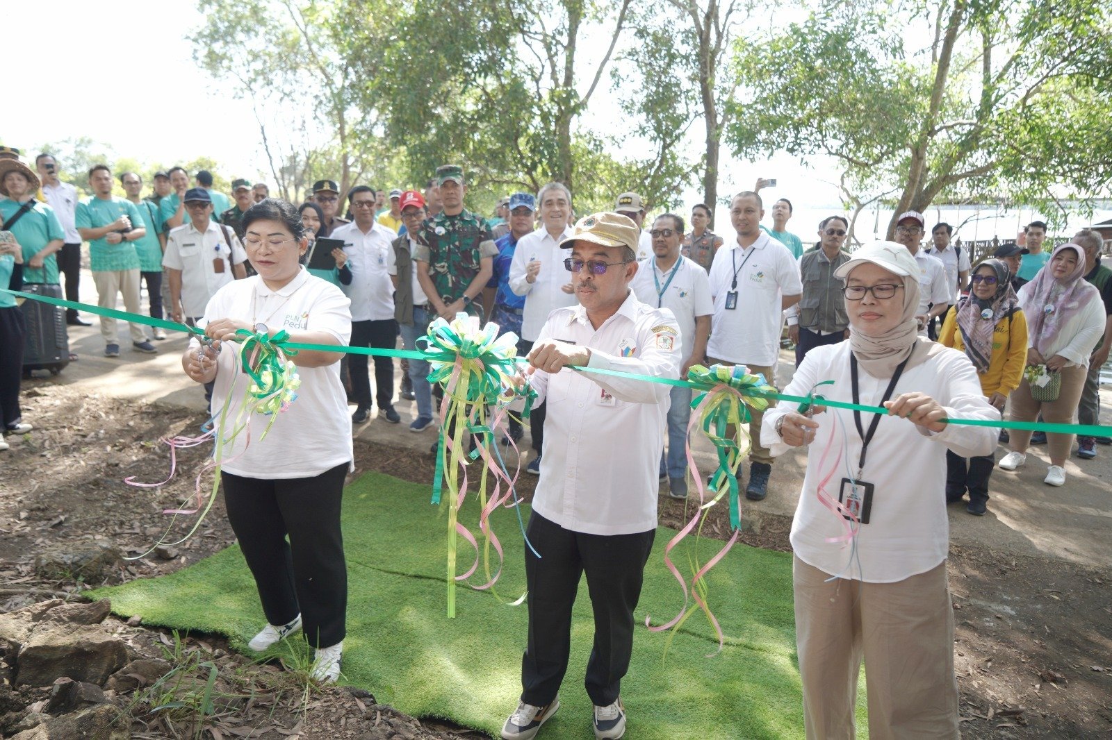 PLN Salurkan Seribu Bibit Pohon di Tahura Sultan Adam