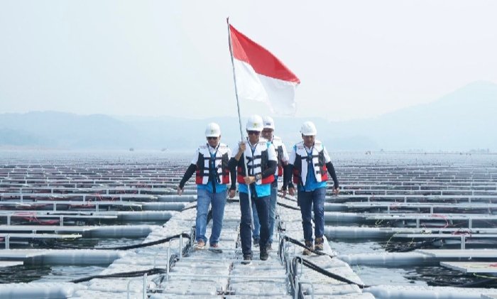 PLN Jadi Perusahaan Utilitas Terbaik se-Kawasan Versi Fortune 500 Asia Tenggara