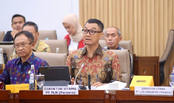 PLN Ajukan 3 Triliun PMN 2025 untuk Bangun Kelistrikan Daerah Terpencil