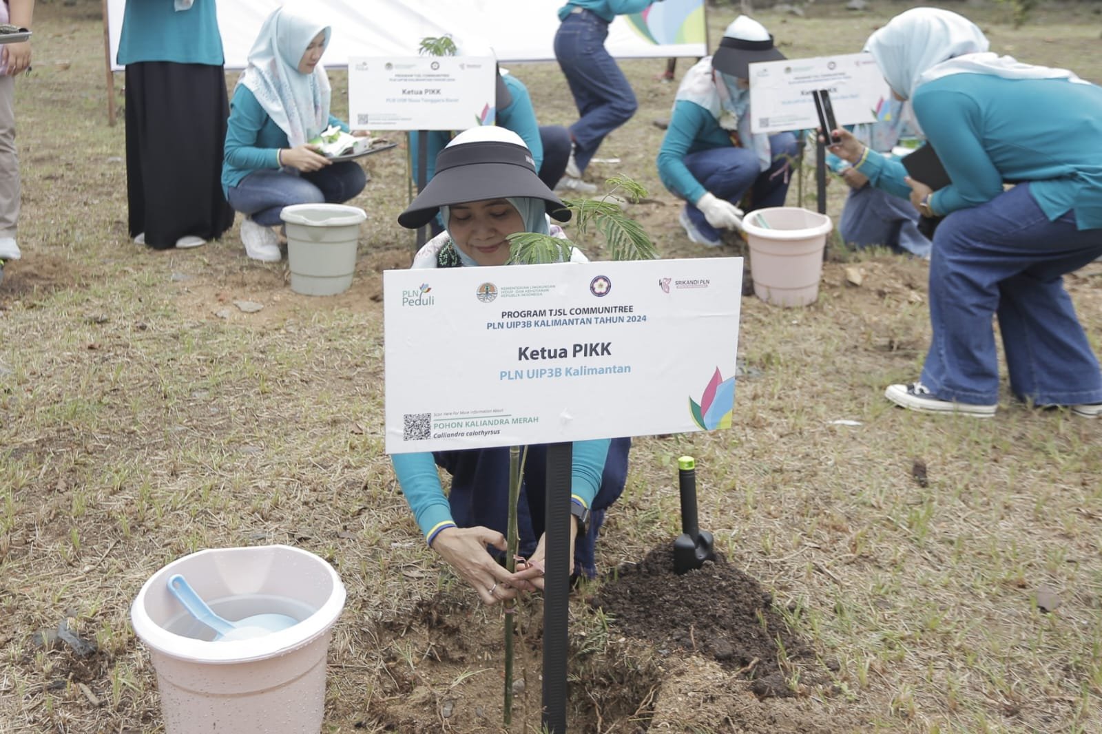 PIKK dan Srikandi PLN Berkolaborasi Gelar Aksi Tanam 150 Bibit Pohon di Balikpapan Timur