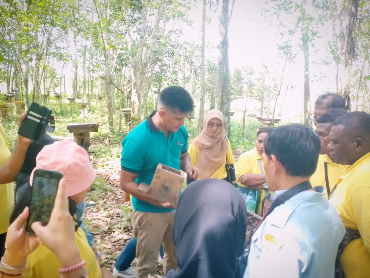 Pelatihan Budidaya Lebah Madu Trigona Tingkatkan Kemampuan Petani Papua Barat