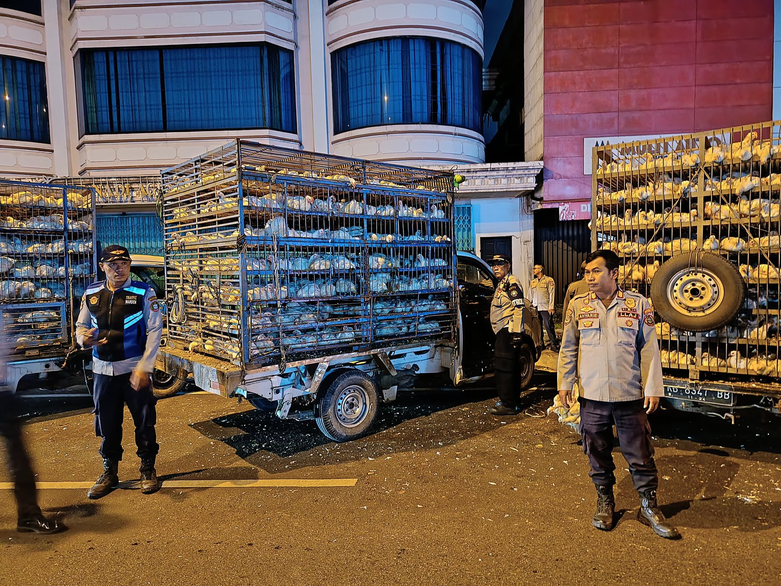Bongkar Muat di Jalan, 15 Pikap Angkutan Ayam Ditilang