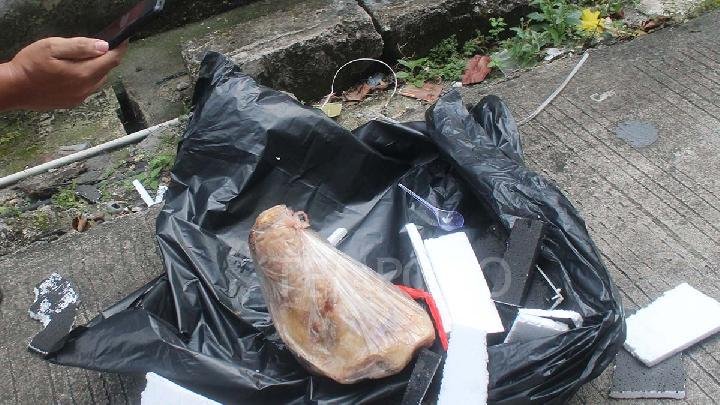 Kundori: Pengiriman Kepala Babi ke Jurnalis Tempo Bentuk Teror Nyata