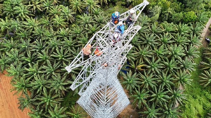 Interkoneksi Listrik Kalimantan Makin Dekat, PLN Kebut Pembangunan SUTT 150 kV Tayan - Sandai