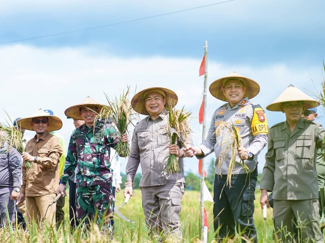 Ketapang Ikut Panen Padi Serentak Nasional bersama Presiden RI