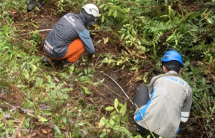 PLN Sigap Bersihkan Jalur Tranmisi usai Lebaran untuk Antisipasi Cuaca Ekstrem di Kalimantan Tengah