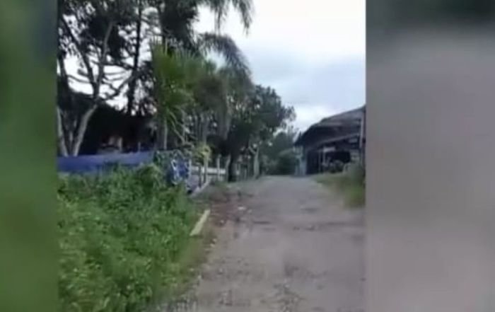 Oknum Dewan Melawi Dituding Monopoli Perdagangan Kayu Ilegal