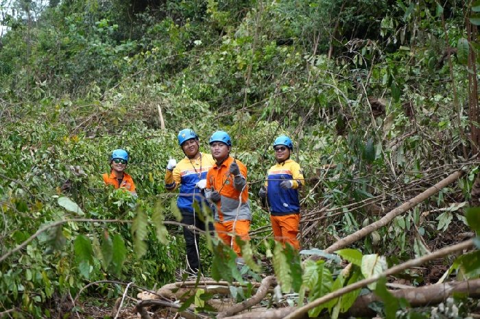 PLN 84 Jam di Tengah Hutan, Pejuang Kelistrikan PLN Amankan Transmisi Saat Idulfitri 1446 H