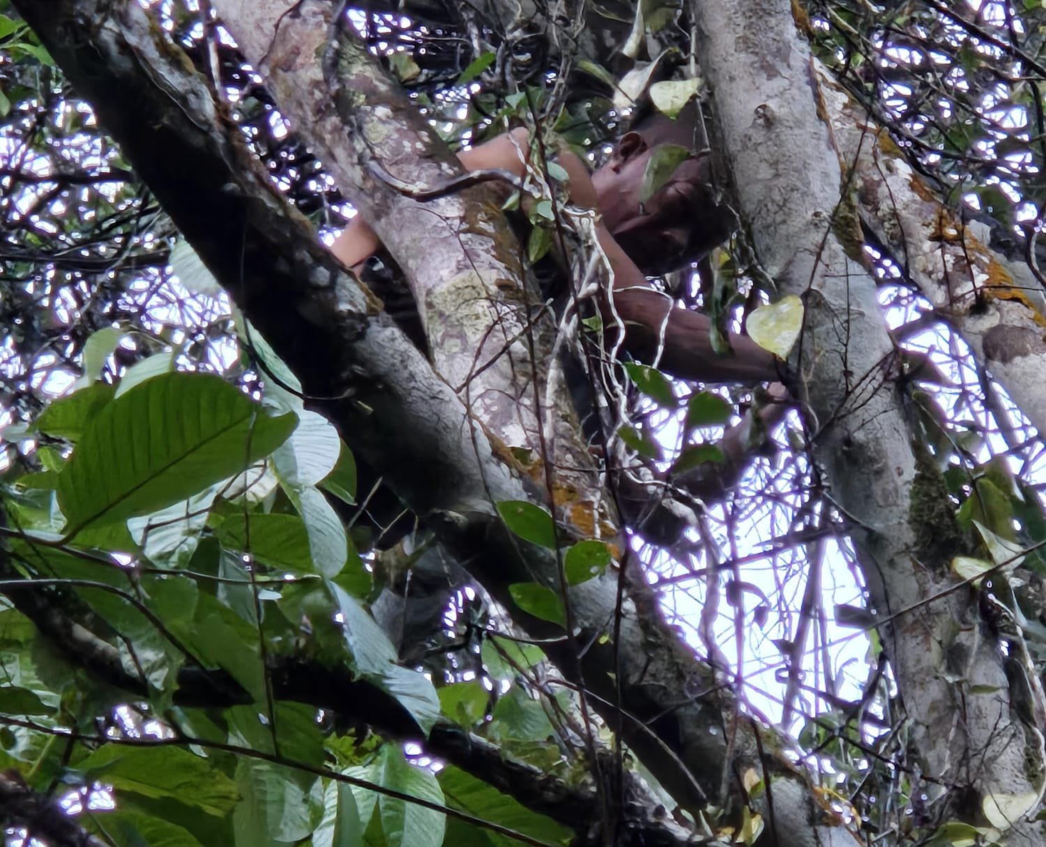 Diduga Stress Diselingkuhi Istri, Pria Asal Sulawesi Nekat Lakukan Percobaan Bunuh Diri di Pontianak