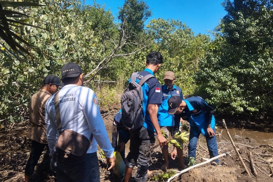 Karang Taruna 'Garda' Sungai Besar Tanam Magrove di Pesisir Pantai