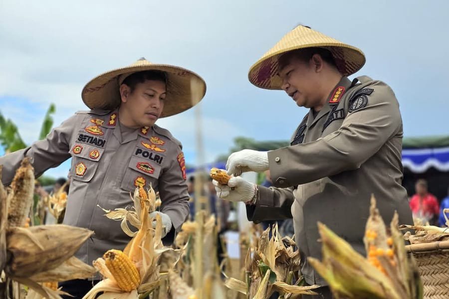 Secara Virtual, Pemkab Ketapang Ikut Panen Raya yang Dipimpin Prabowo