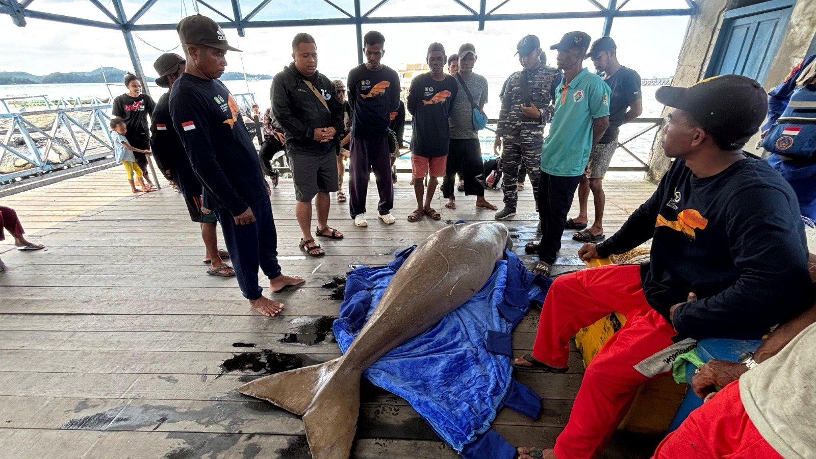 Mamalia Laut Langka Ditemukan Tewas, Tim Konservasi Turun Tangan