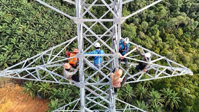 SUTT 150 kV Tayan - Sandai Ditargetkan Rampung Tahun 2025, Siap Memperkuat Sistem Kelistrikan Kalimantan