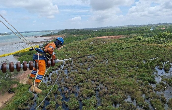 Wujud Kontribusi ke Negara, PLN Setor Rp65,59 Triliun Lewat Dividen, Pajak, dan PNBP