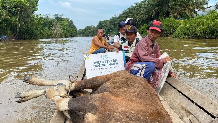 Menembus Lumpur dan Menyeberangi Sungai, YBM PLN UIP KLB Salurkan Ratusan Paket Daging ke Pedalaman Bengkayang