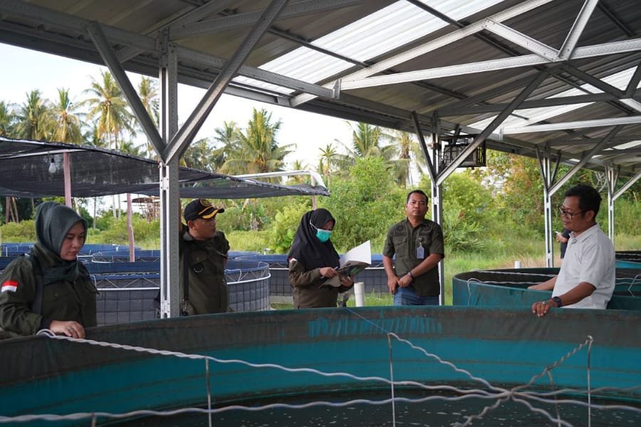 Terima Bantuan Pemerintah, Pokdakan Debar Karya Pawan Pastikan Sesuai Prosedur