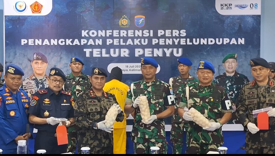 Memalukan! Oknum TNI Terlibat Penyelundupan Telur Penyu Jaringan Internasional