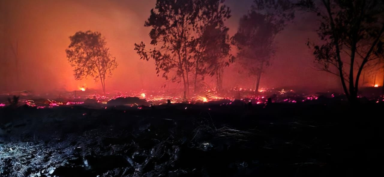 Dua Kabupaten di Kalbar Tetapkan Status Darurat Bencana Asap
