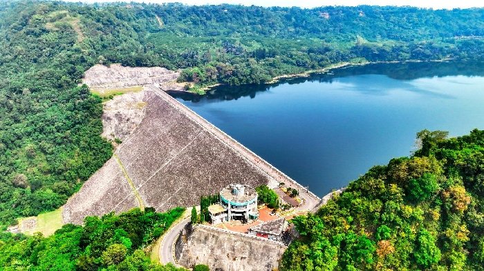 Peningkatan Pendapatan Dorong PLN Masuk Fortune Global 500