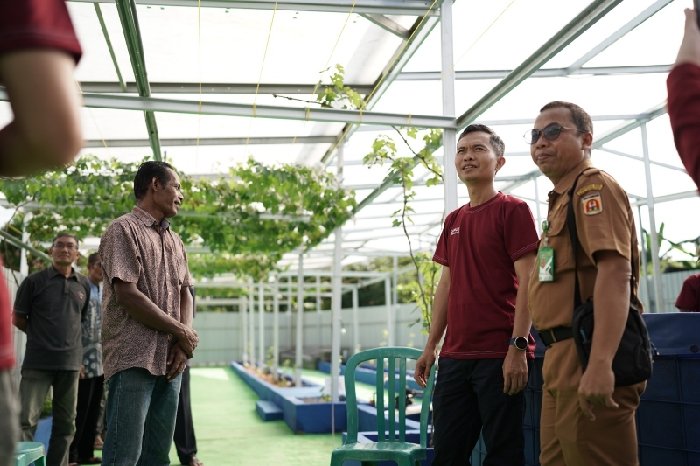 Dalam Semangat Kemerdekaan, PLN UP2B Kalselteng Dukung Integrated Farming Pokmas Cempaka Sari Lewat Program TJSL
