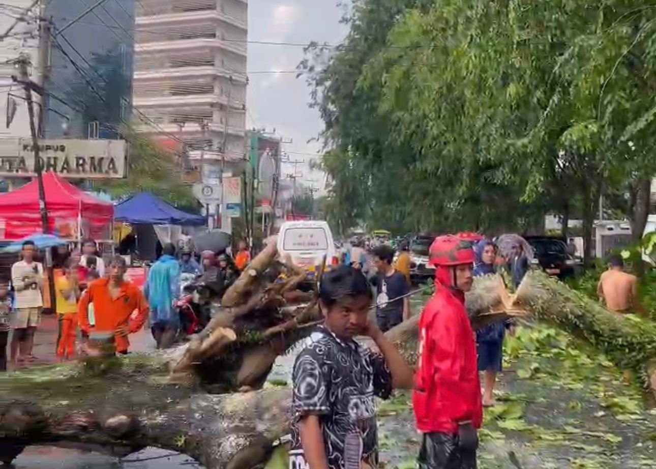 Wali Kota Pontianak Tinjau Evakuasi Pohon Tumbang di Jalan HOS Cokroaminoto